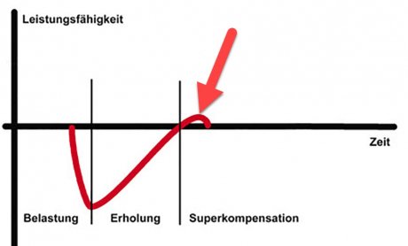 Die Kunst, einen wirksamen Trainingsreiz zu setzen
